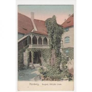 Germany, Nurnberg, Burghof, 500 jahr Linde Postcard, B048