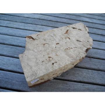 heimische Linde Maserlinde  z.B. Holzschmuck ca. 250 x 133 x 60 mm  E364