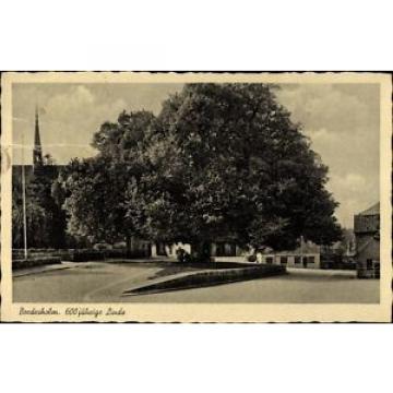 Ak Bordesholm in Schleswig Holstein, Blick auf die 600 jährige Linde - 1101735