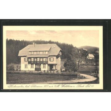 tolle AK Hinterzarten, Hotel Waldheim zur Linde