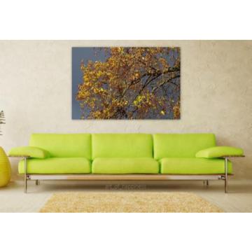 Stunning Poster Wall Art Decor Autumn Autumn Mood Linde Emerge 36x24 Inches