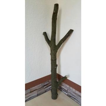 Baumstamm Linde verzweigt Ast Stamm Holz Skulptur Deko Terrarium Natur 89 cm