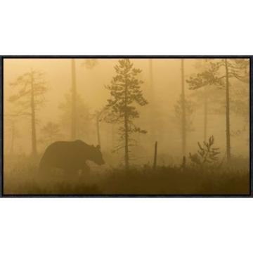 Global Gallery &#039;Morning Fog&#039; by Svein Ove Linde Framed Photographic Print