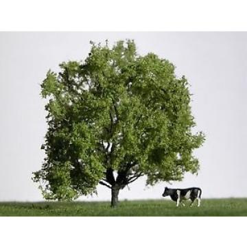 Avantgarde Modellbau Z Finescale Amerikanische Linde, Solitärbaum, 8-10cm