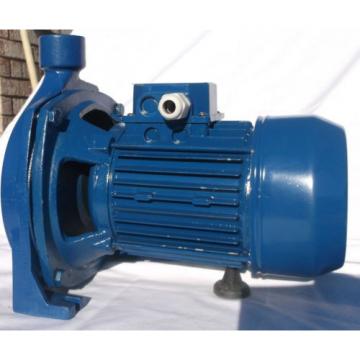 Electric Centrifugal Water CP Pump CPm158 1Hp 240V