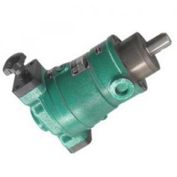 160SCY14-1B  axial plunger pump