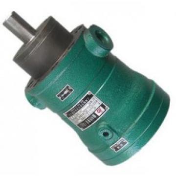 160MCY14-1B  fixed displacement piston pump