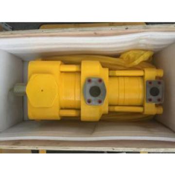 Sumitomo QT3223-16-6.3F Double Gear Pump