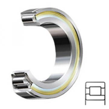INA SL192314 Cylindrical Roller Bearings
