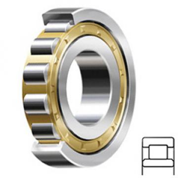 SKF NU 1021 ML/C3 Cylindrical Spherical Roller Thrust Bearings