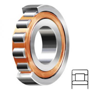 FAG BEARING NU206-E-TVP2-C3 Cylindrical Roller Bearings