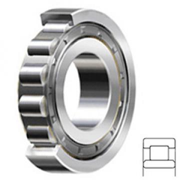 FAG BEARING NU314-E-JP3 Cylindrical Roller Bearings