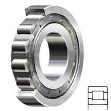 NSK NJ2222W Cylindrical Roller Bearings