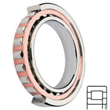 SKF NUP 213 ECP/C3 Cylindrical Roller Thrust Bearings