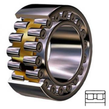 NTN NN3005C1NAP4 Cylindrical Roller Bearings