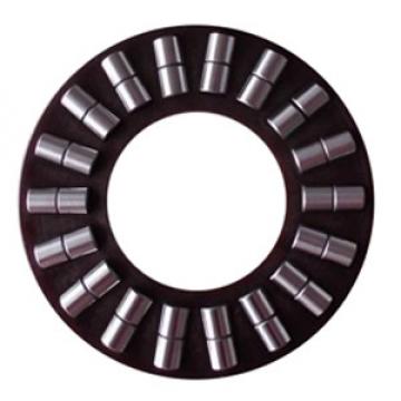 INA K89306TN Thrust Roller 