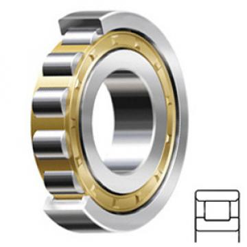 FAG BEARING N217-E-M1 Cylindrical Roller Bearings