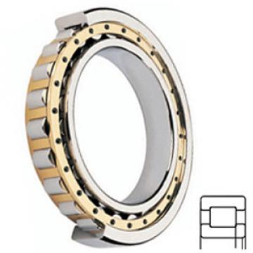 FAG BEARING NUP214-E-M1-C3 Roller Bearings