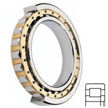 FAG BEARING NUP318E.M1.C4.F1 Cylindrical Roller Bearings