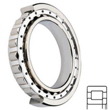 NSK NUP2310W Cylindrical Roller Bearings
