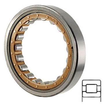 SKF RNU 2319 ECML Cylindrical Roller Bearings