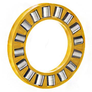 INA K81138M Thrust Roller Bearing