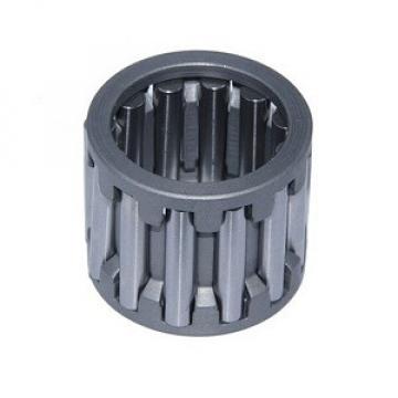 INA K100X107X21 Roller Bearings