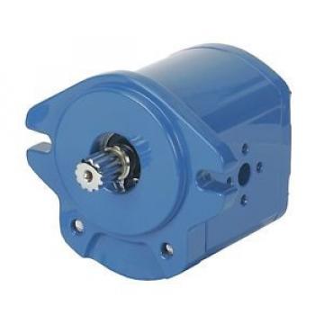 26002-RZJ Gear Pump, Displacement 05, GPM 66, Right