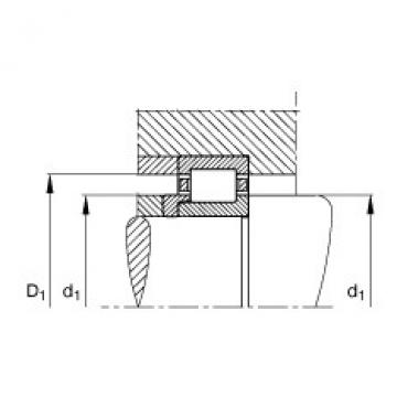 FAG Cylindrical roller bearings - NJ2209-E-XL-TVP2 + HJ2209-E