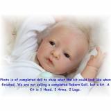 REBORN DOLL KIT, DANIEL BY LINDE SCHERER, VINYL DOLL KIT, NEW