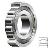 NTN MA1309EL Cylindrical Roller Bearings