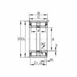 FAG Cylindrical roller bearings - SL045056-PP